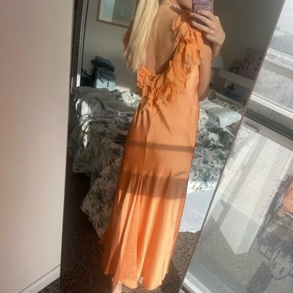 Elegant Orange Feathered Dress - Picture 5 of 5